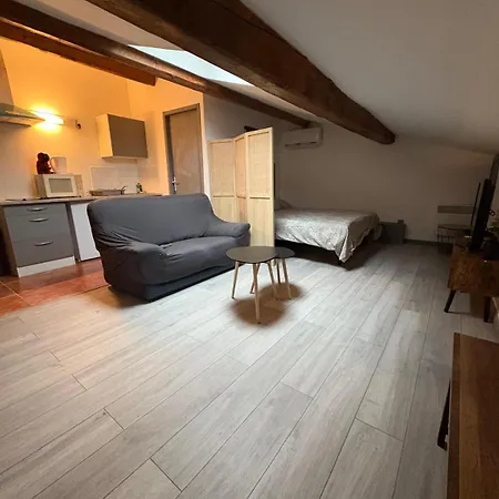 Grand Proche Centre Apartment